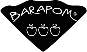 thomas-brard-decoration-ameublement-realisation-partenaire-barapom